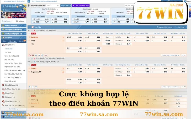 Điều Khoản Sử Dụng 77WIN 2 Cược không hợp lệ theo điều khoản 77WIN